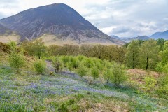 Grasmoor