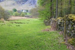 Lanthwaite Green