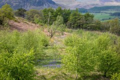 Brackenthwaite-Hows-5-9