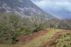 Grasmoor