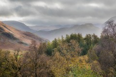 Rannerdale Knotts, Lanthwaite Wood
