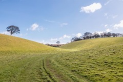 Brantingham walk, High Hunsley Circuit, Swin Dale