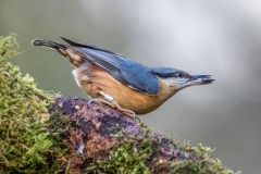 Birdwatcher's car park in Forge Valley