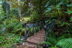 Brodick Castle garden