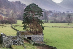 ruined barn at Dubhow