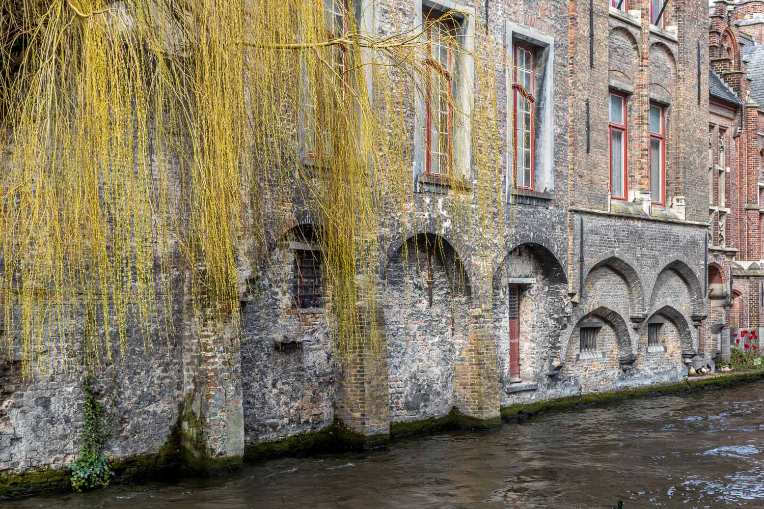 Groenerei canal, Bruges