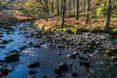 Watendlath Beck