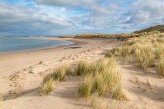 Budle Bay, beach, sea