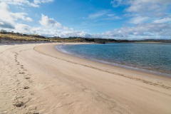 Budle Bay walk