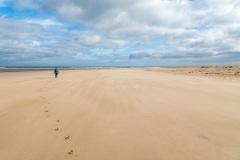 Budle Bay, beach, sea