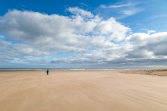 Budle Bay walk