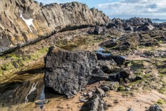 White stag, Blackrocks Point