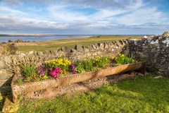Kiln Point, Budle, Budle Bay