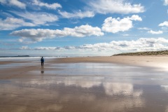 Budle Bay to Seahouses walk