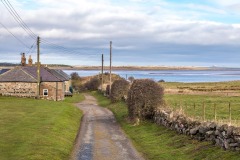Kiln Point, Budle Bay