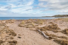 Budle Bay walk