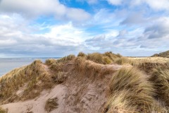 Budle Bay walk