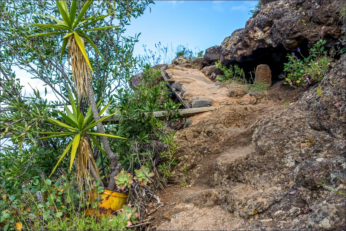 Cuevas de Buracas walk,  La Palma
