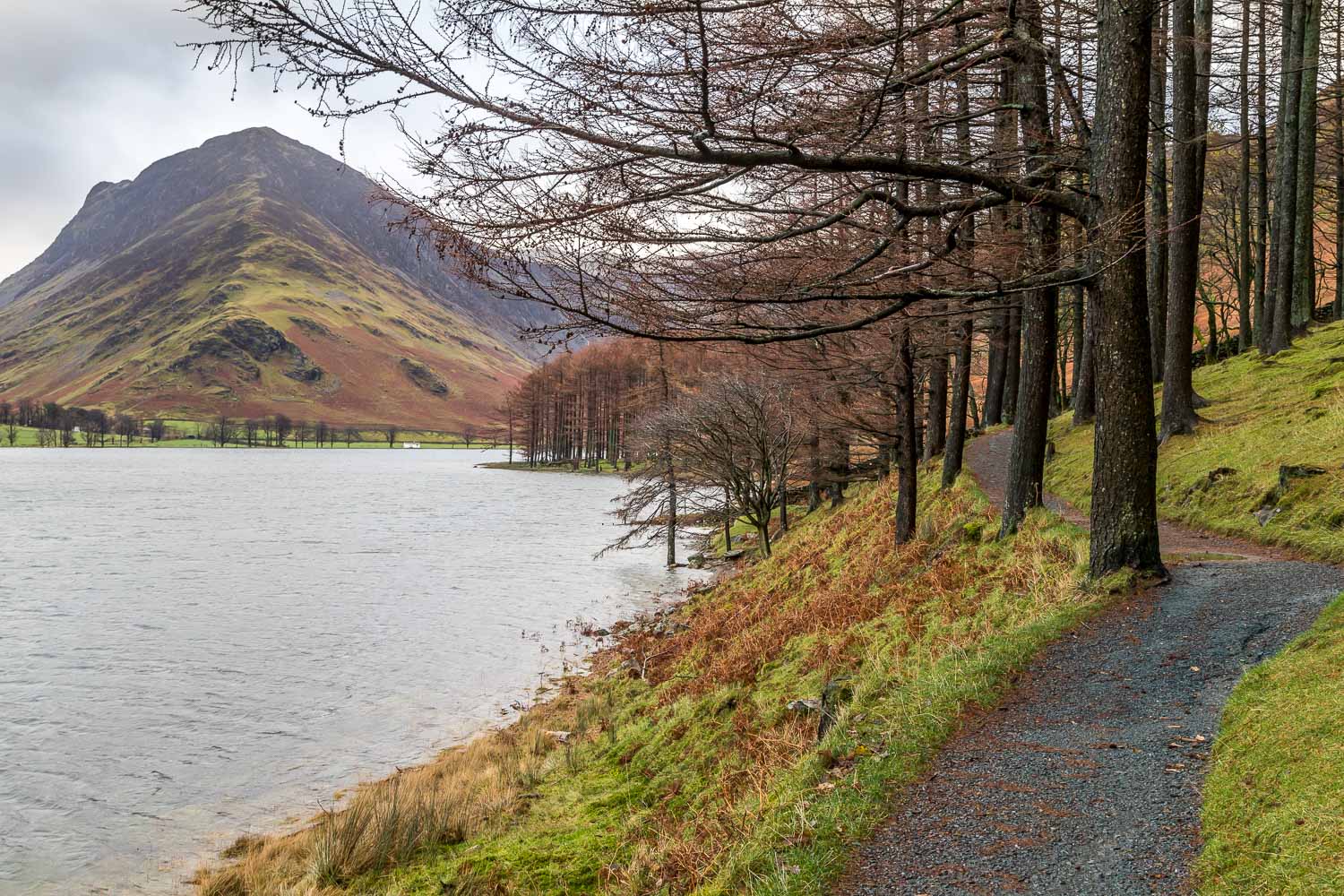Buttermere circuit