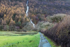 Buttermere walk