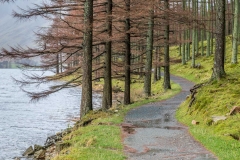Buttermere circuit