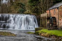 Rutter Force