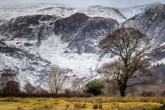 Buttermere