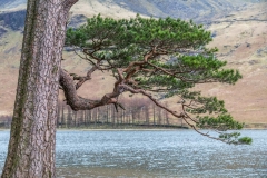 Buttermere
