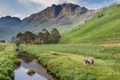 Warnscale Beck, Buttermere