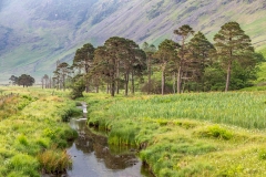 Warnscale Beck, Buttermere