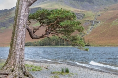 Fleetwith Pike above Gatesgarth Farm
