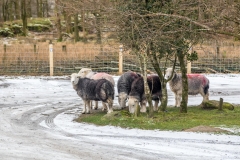 Buttermere village