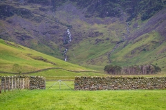 Warnscale Bottom