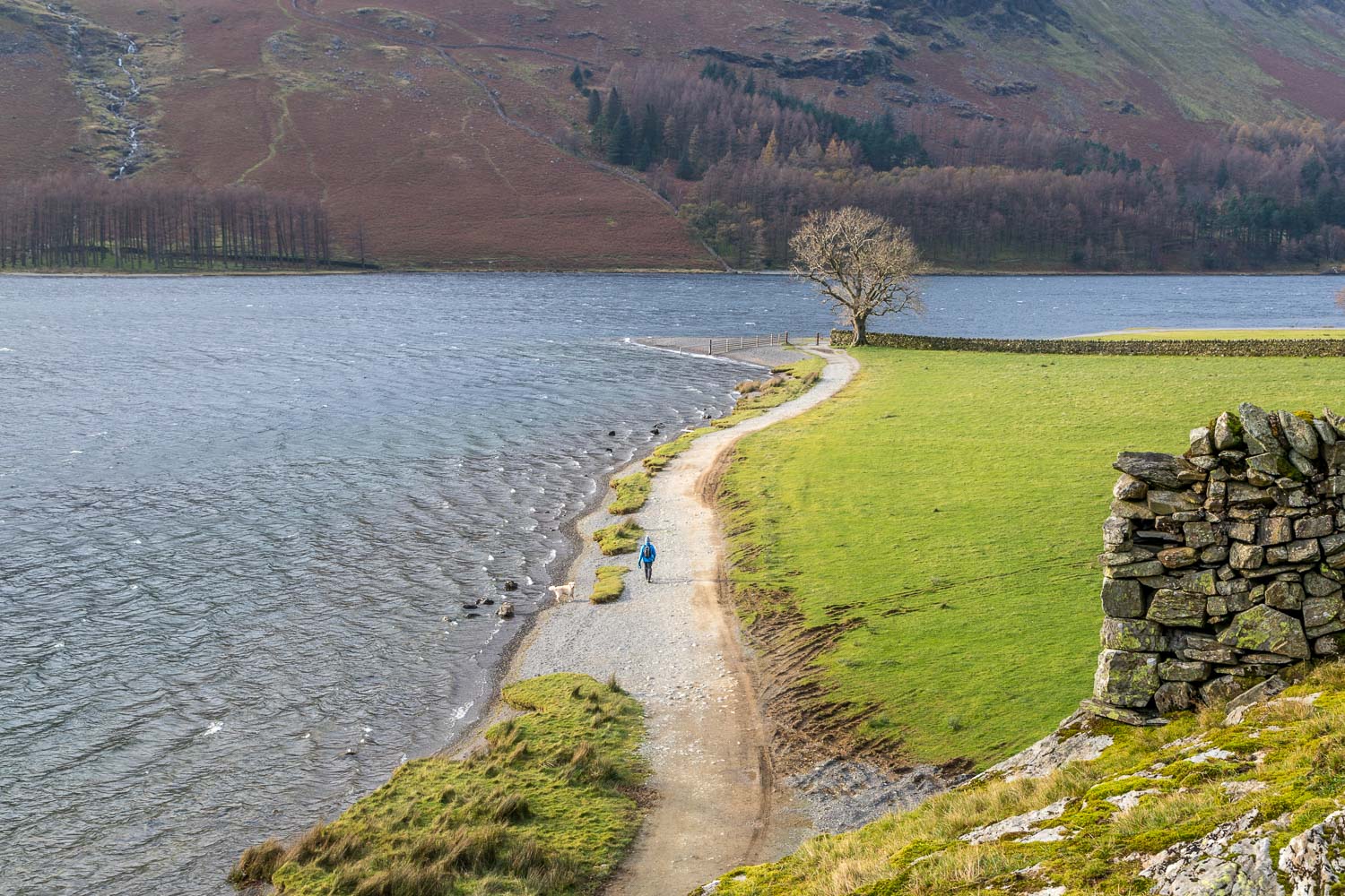 Hassness, Buttermere