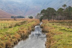Warnscale Beck, Peggy's Bridge