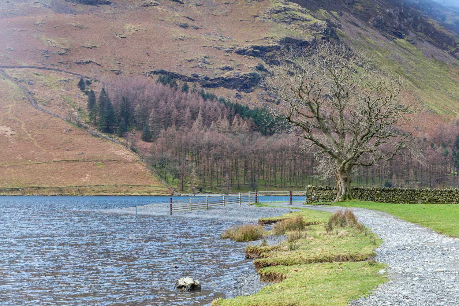 Buttermere, Hassness