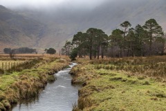 Peggy's Bridge, Warnscale Beck