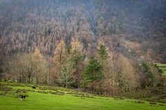 Old Burtness, Sourmilk Gill waterfall