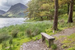 Bench