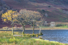 Crummock Water