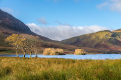 Crummock Water, Holme Islands, Scale Knott