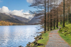 Buttermere, Burtness Wood