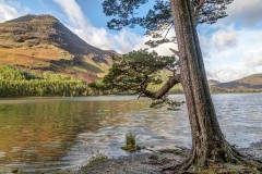Buttermere, Hassness, High Stile