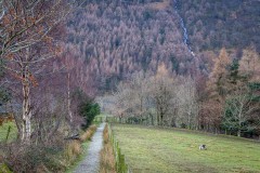 Sourmilk Gill