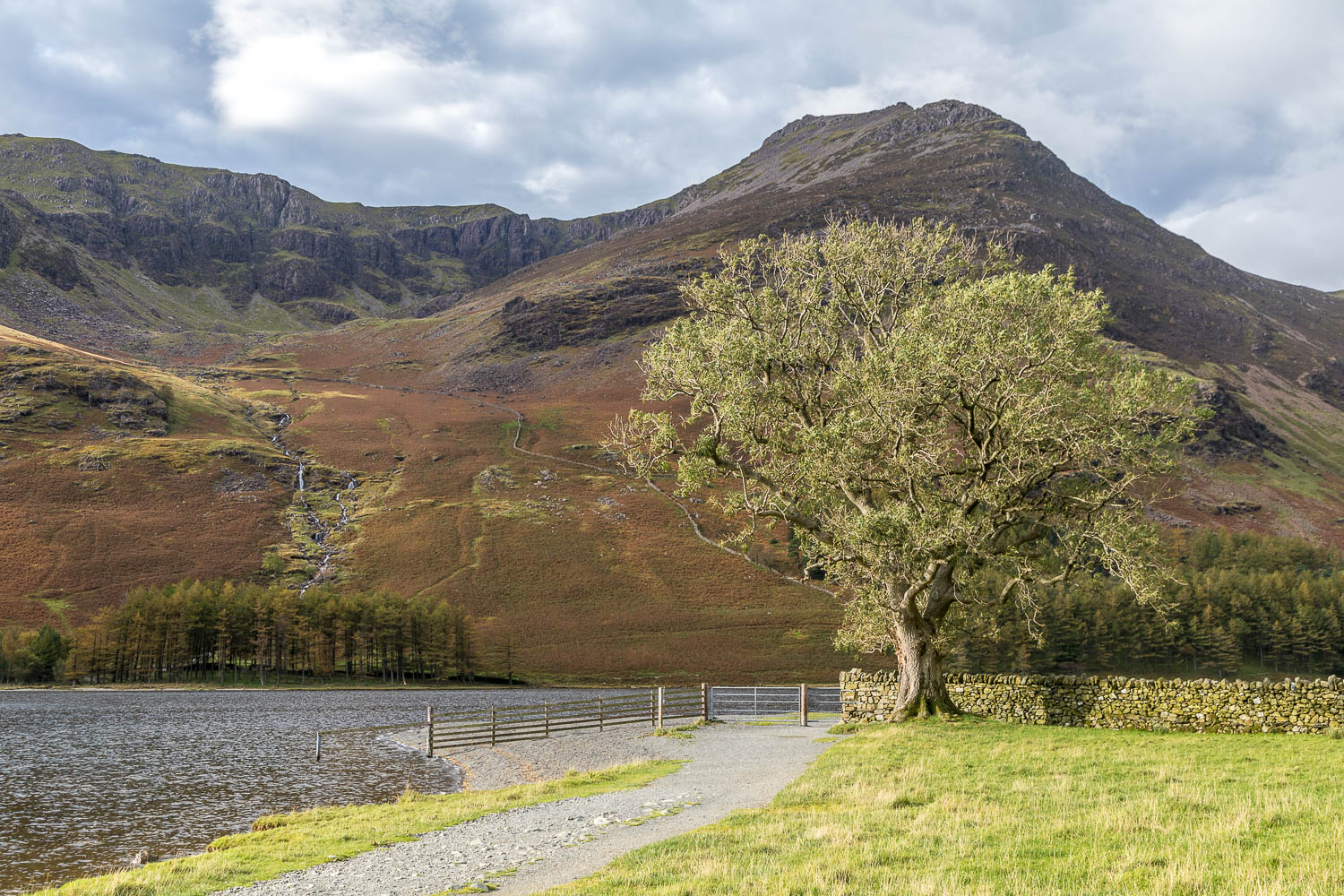 Buttermere, Hassness, High Stile
