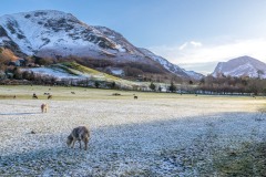 Buttermere walk