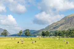Buttermere bothy, Char Cottage