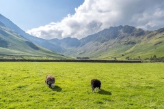 Haystacks