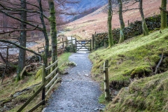 Buttermere, Burtness Wood