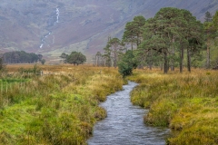 Warnscale Beck